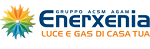 enerxenia logo