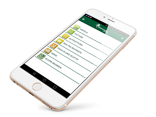 App Green Network
