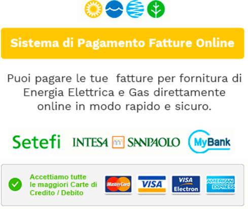 Paga Online Lenergia