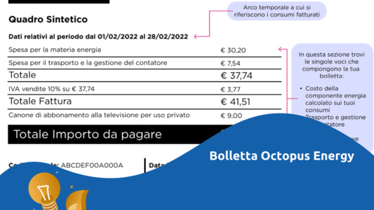 Octopus Energy Italia🐙 Offerte Luce, Contatti E Opinioni