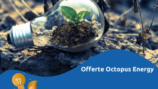 Offerte Octopus Energy