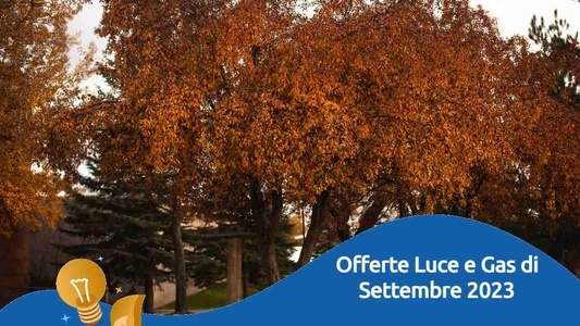 Offerte luce e gas settembre 2023