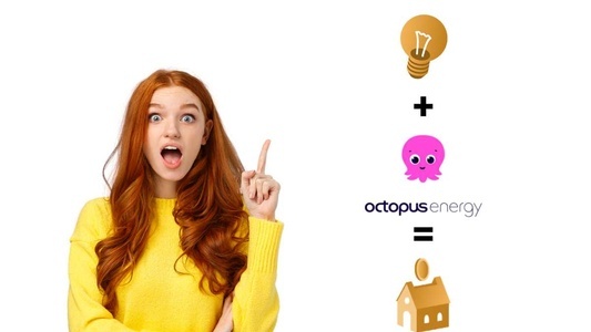 Offerte luce Octopus Energy a Marzo 2024