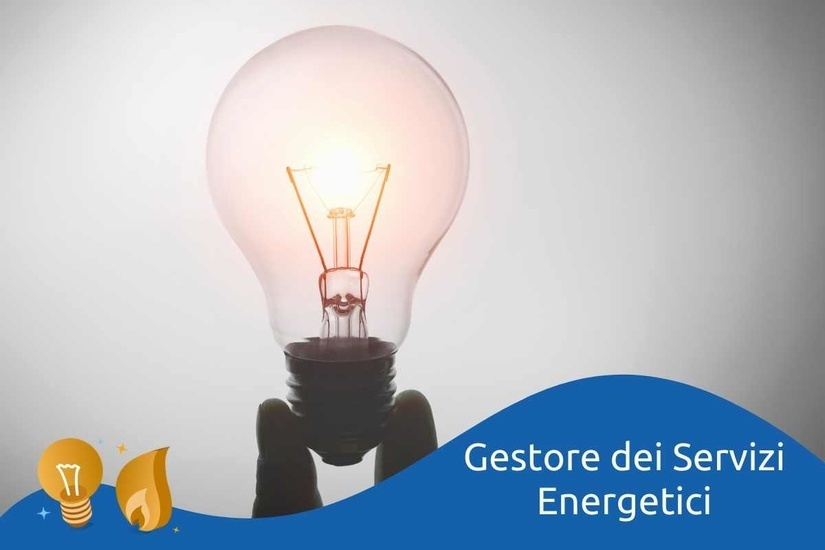 GSE Cosa fa
