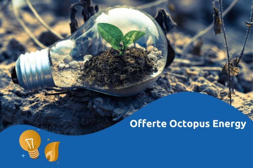 Offerte Octopus Energy