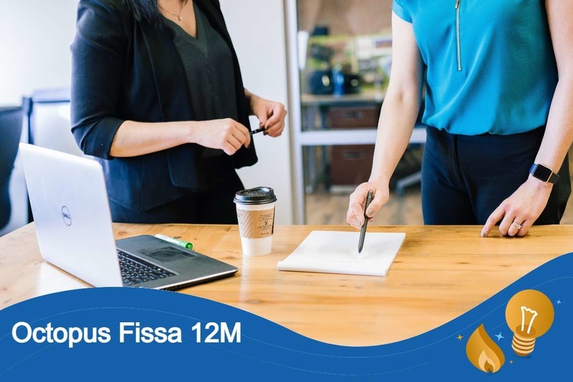 Octopus Fissa 12M