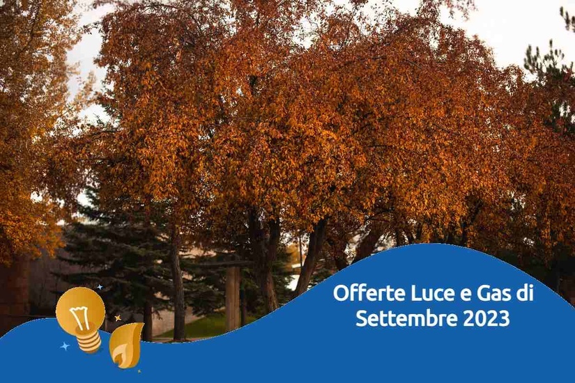 Offerte luce e gas settembre 2023