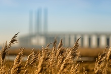 Energia Biomasse