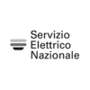 recensioni-servizio-elettrico-nazionale
